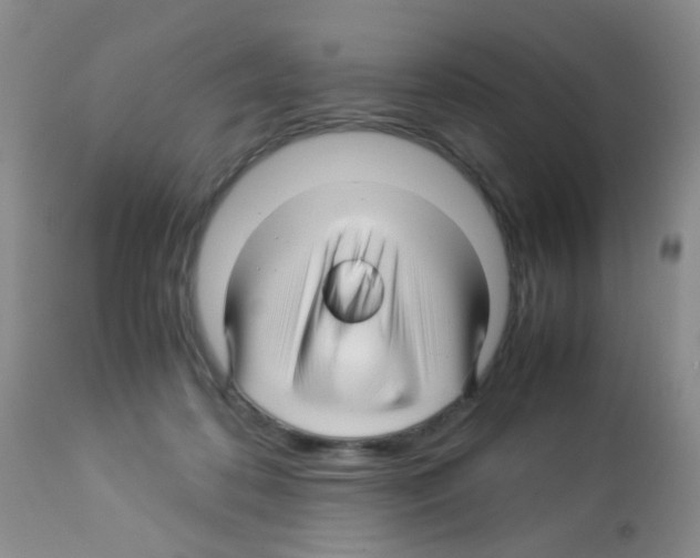 X0000113090316200910091303