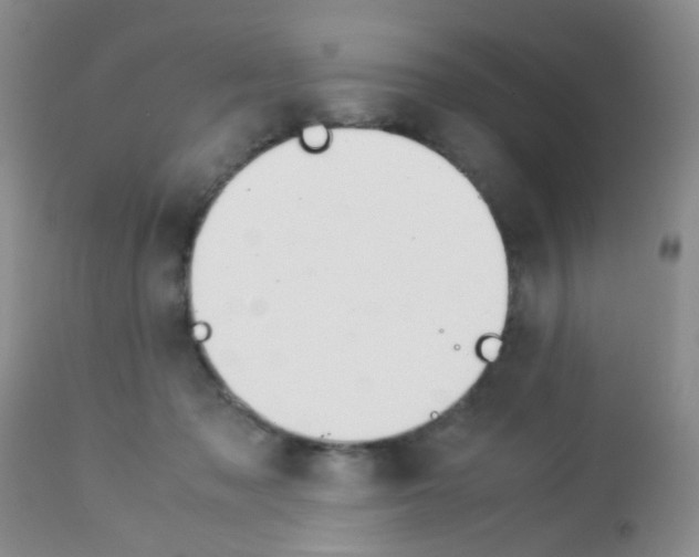 X0000113090317200910091303