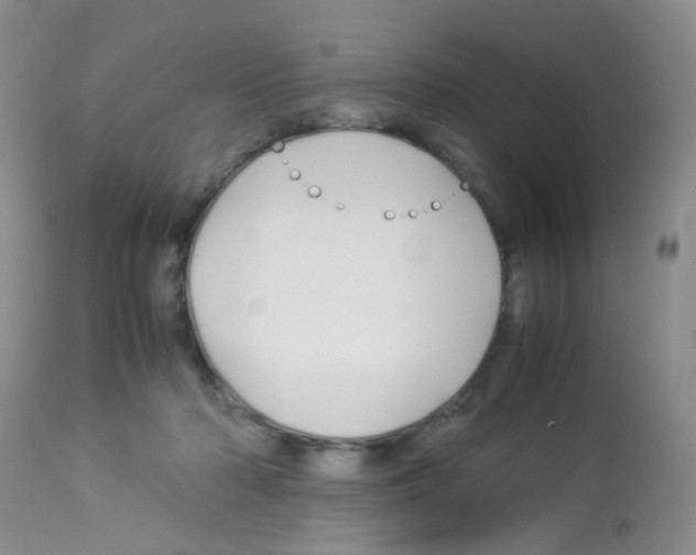 X0000113090318200910091303