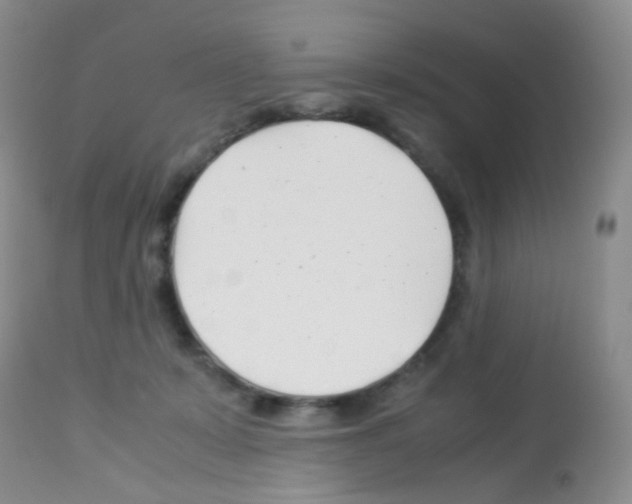 X0000113090319200910091303