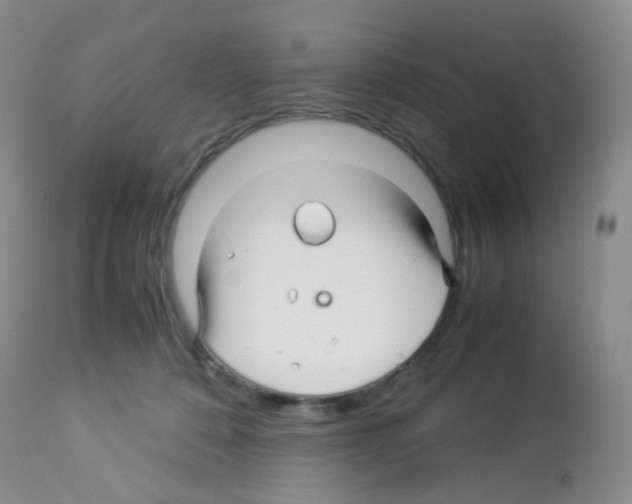 X0000113090320200910091303