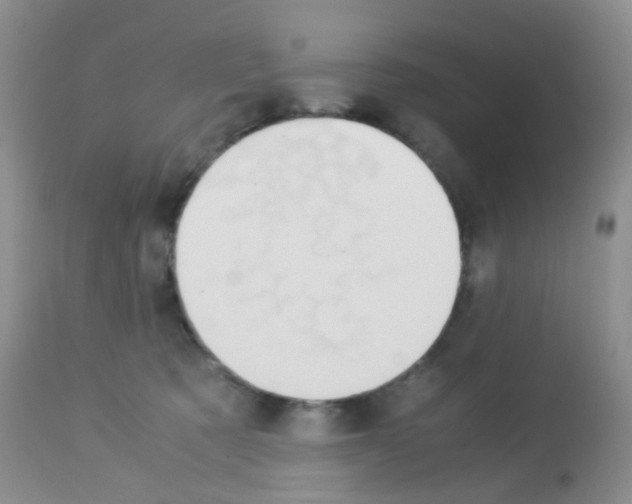 X0000113090321200910091303