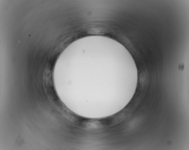 X0000113090322200910091303