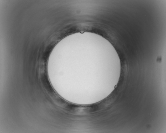 X0000113090323200910091303