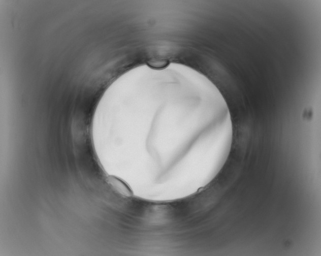 X0000113090324200910091303