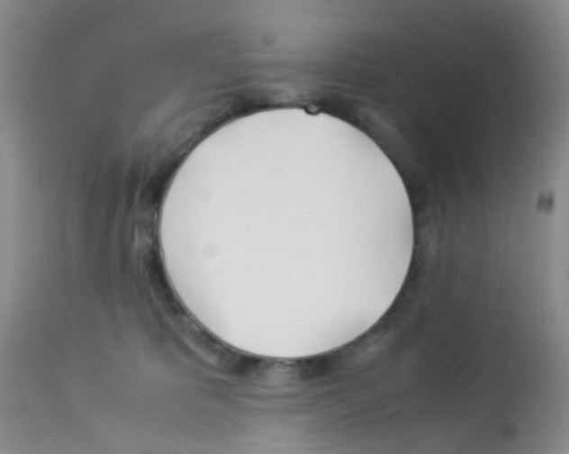 X0000113090325200910091303