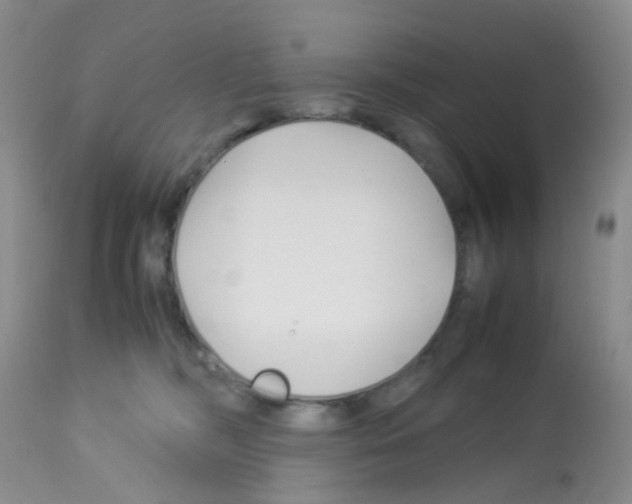 X0000113090326200910091303