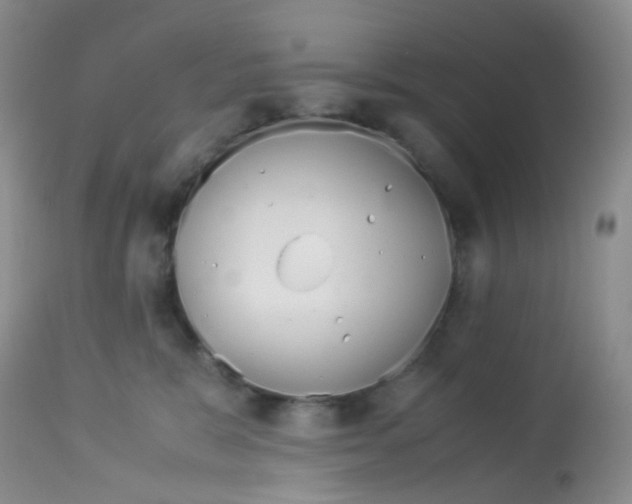 X0000113090327200910091303