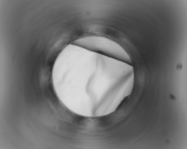 X0000113090328200910091303