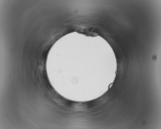 X0000113090331200910091303