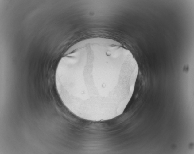 X0000113090332200910091303