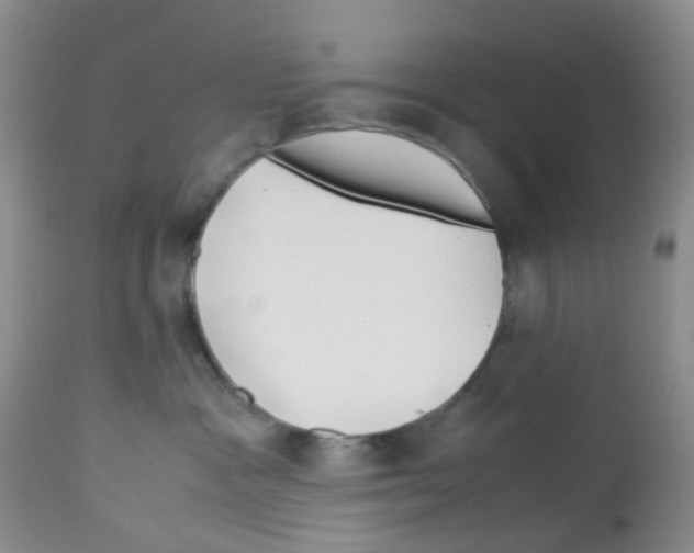 X0000113090333200910091303