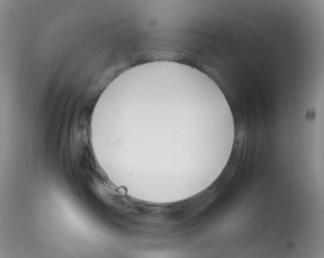 X0000113090334200910091303