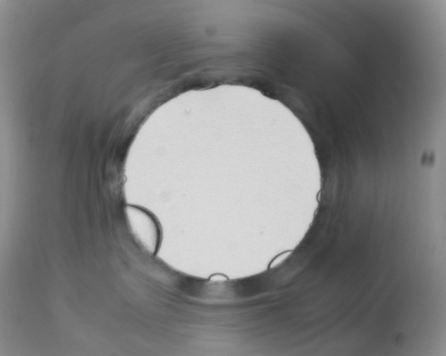 X0000113090335200910091303