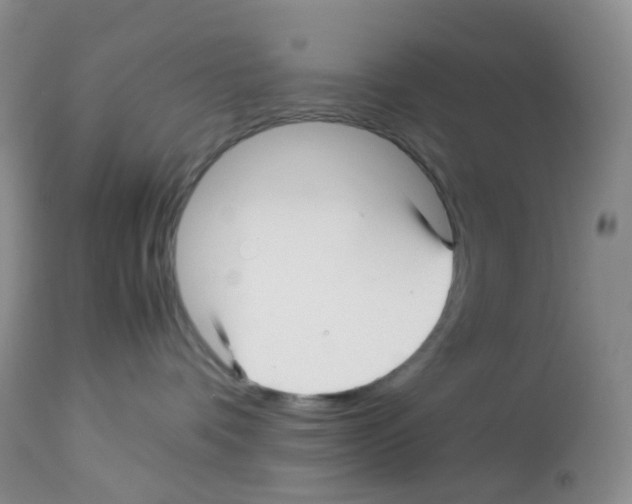 X0000113090336200910091303