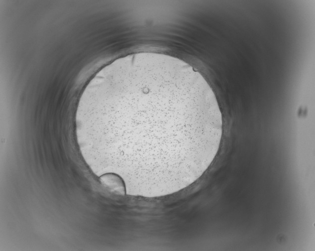 X0000113090337200910091302
