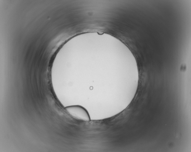X0000113090338200910091302