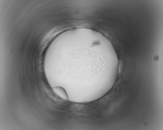 X0000113090339200910091302