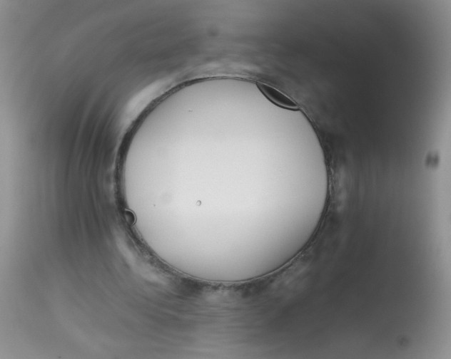 X0000113090340200910091302