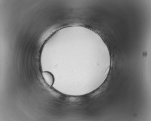 X0000113090341200910091302