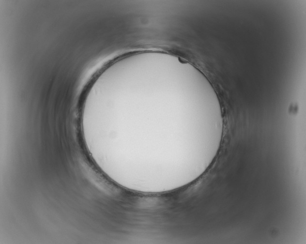 X0000113090342200910091302