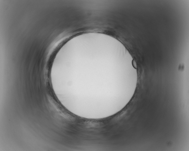 X0000113090343200910091302