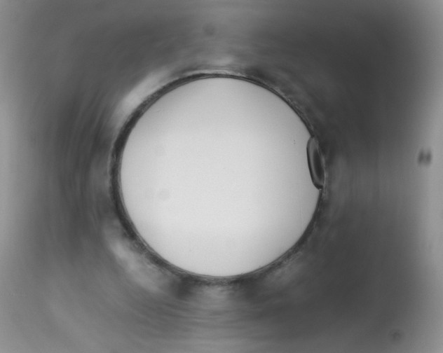 X0000113090344200910091302