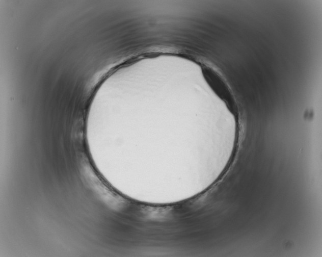 X0000113090345200910091302