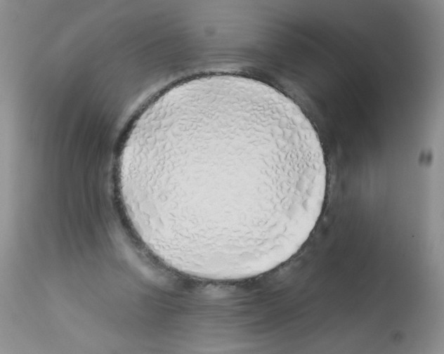 X0000113090346200910091302