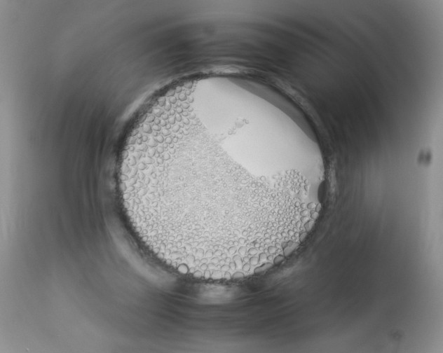 X0000113090347200910091302