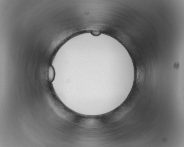 X0000113090348200910091302