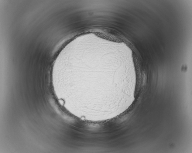 X0000113090349200910091302
