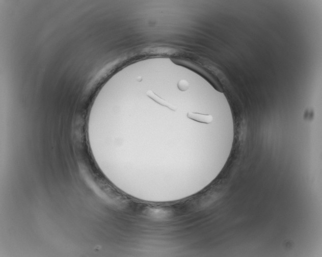 X0000113090352200910091303