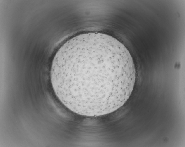 X0000113090354200910091303