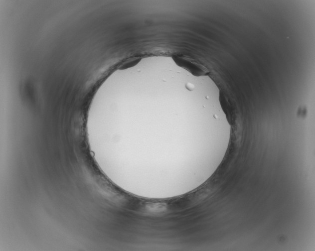 X0000113090355200910091303