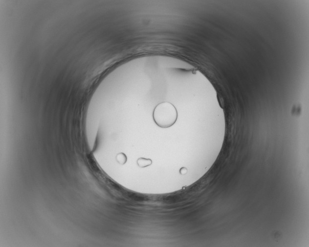 X0000113090356200910091303