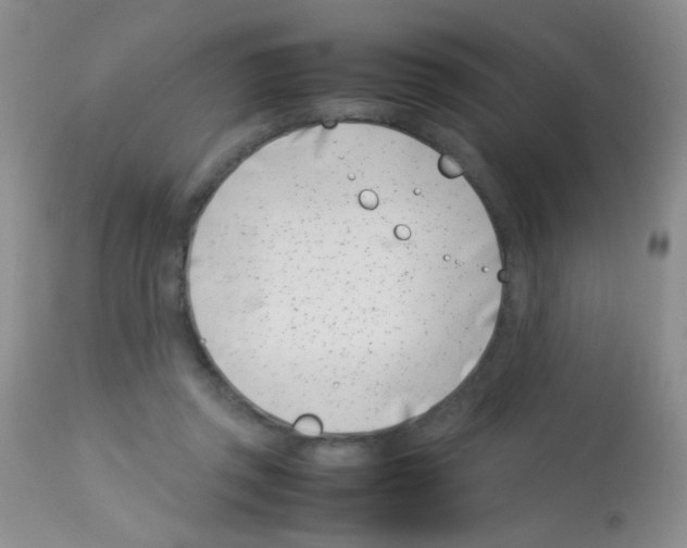 X0000113090357200910091303