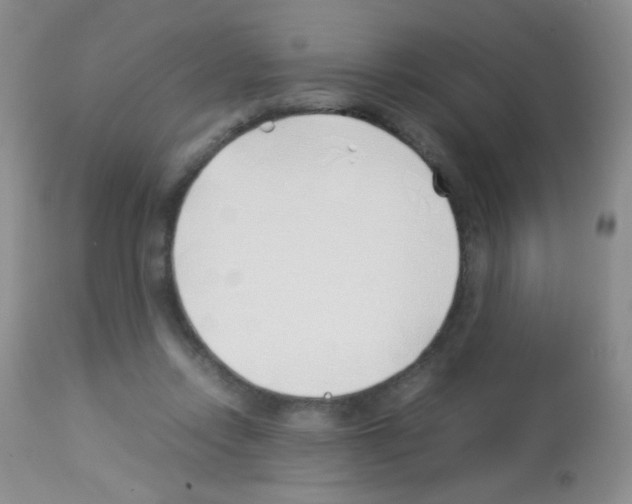 X0000113090358200910091303