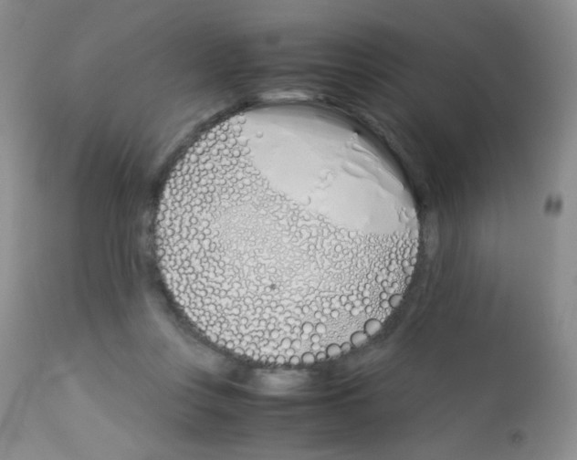 X0000113090359200910091303