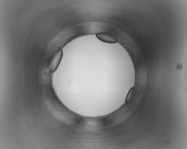 X0000113090360200910091303