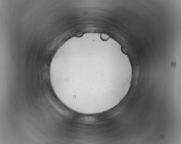 X0000113090361200910091303