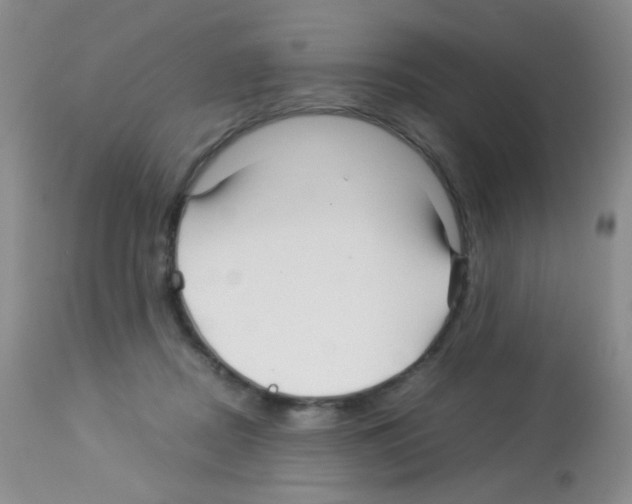 X0000113090362200910091303