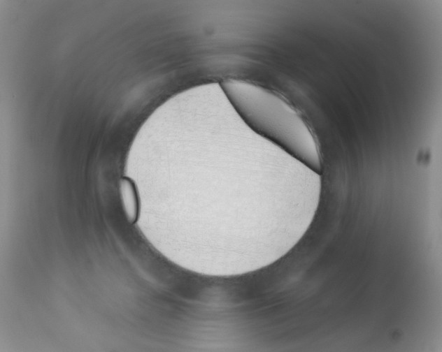 X0000113090364200910091303