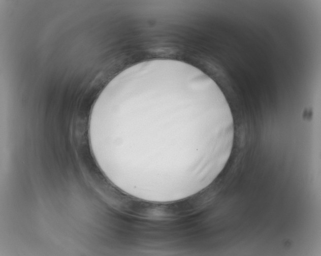 X0000113090365200910091303