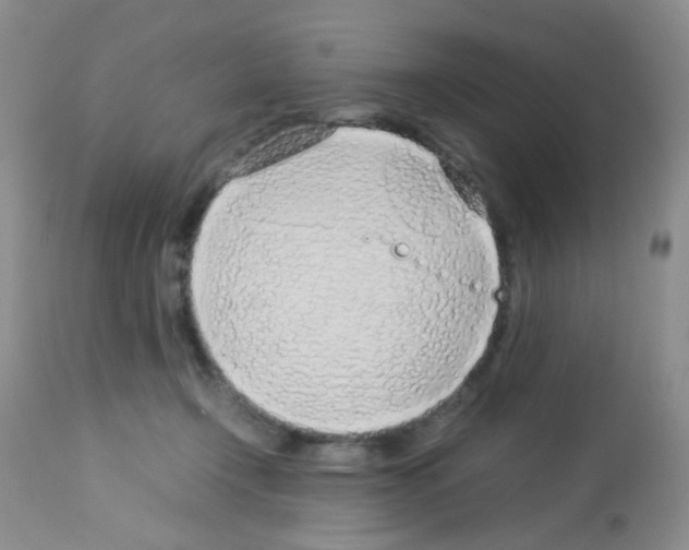 X0000113090366200910091303