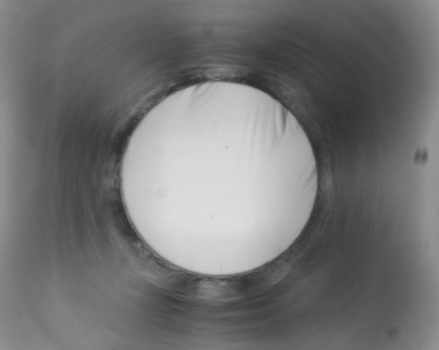 X0000113090367200910091303