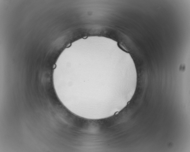 X0000113090368200910091303