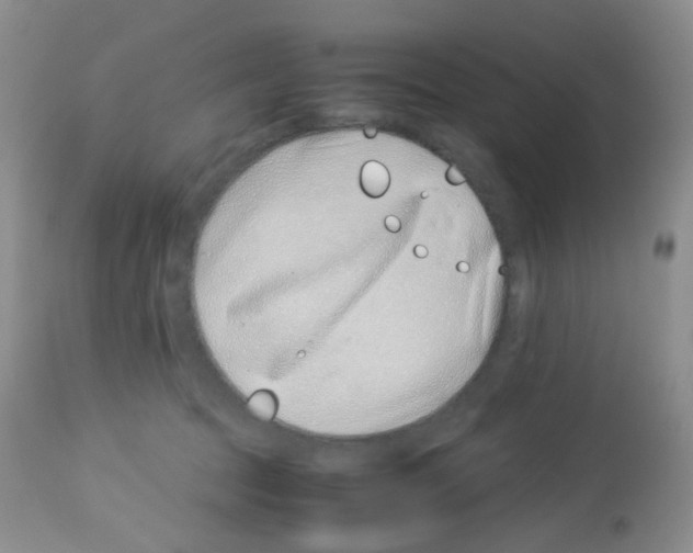 X0000113090369200910091303