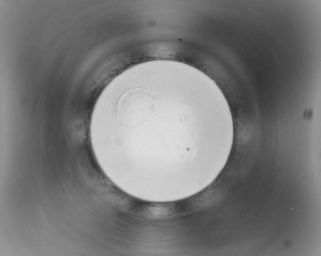 X0000113090370200910091303
