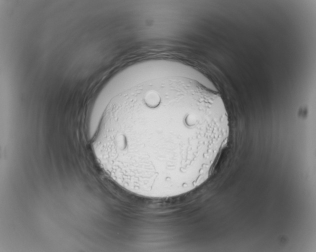 X0000113090372200910091303